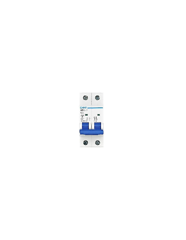 Disjoncteur NB1-63 2P C40 6KA