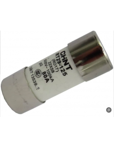 Fusible Cylindrique 22X58 RT29-125 80A gG CHINT