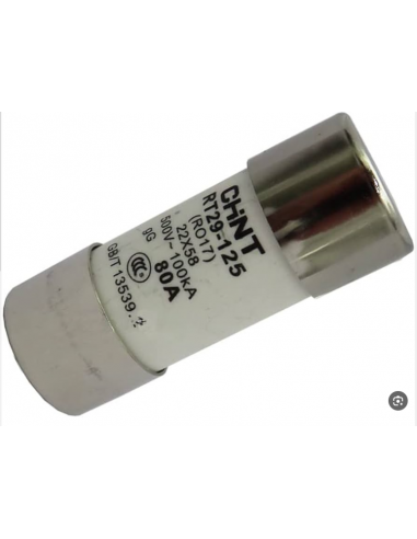 Fusible Cylindrique 22X58 RT29-125 80A gG CHINT