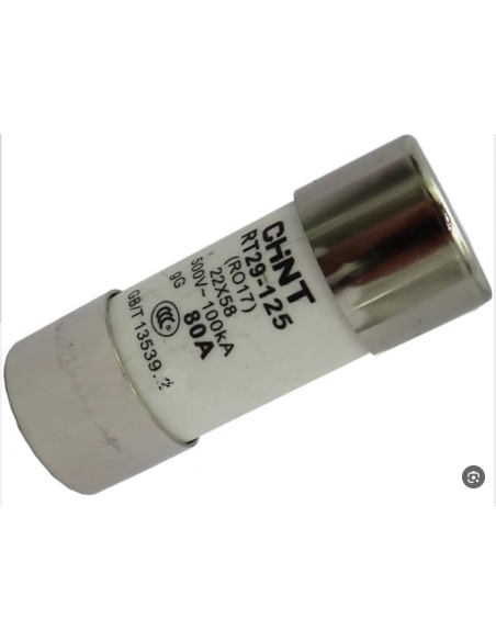 Fusible Cylindrique 22X58 RT29-125 80A gG CHINT