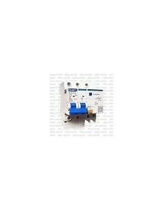 Disjoncteur DIFF NXBLE-63 2P C20 30mA 6kA CHINT
