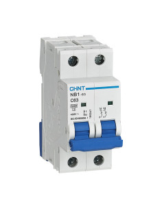 Disjoncteur NB1-63 2P C6 6KA