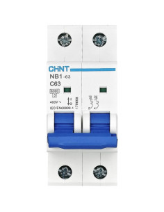 Disjoncteur NB1-63 2P C25 6KA