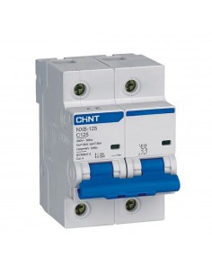 Disjoncteur NXB-125 2P C100 6kA CHINT
