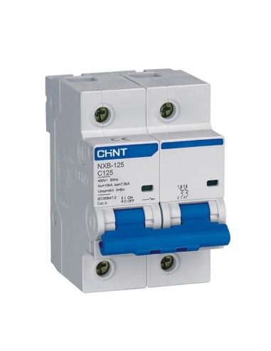 Disjoncteur NXB-125 2P C100 6kA CHINT