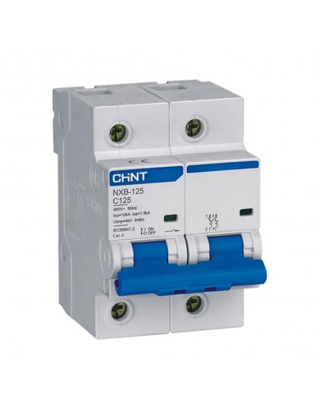 Disjoncteur NXB-125 2P C100 6kA CHINT
