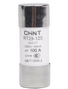 Fusibles Cylindriques 22*58 gG/gL 100A CHINT