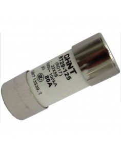 Fusibles Cylindriques 22*58 gG/gL 80A CHINT