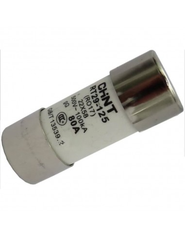 Fusibles Cylindriques 22*58 gG/gL 80A CHINT